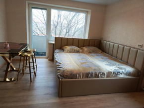Parko apartamentai Self check in, Klaipeda